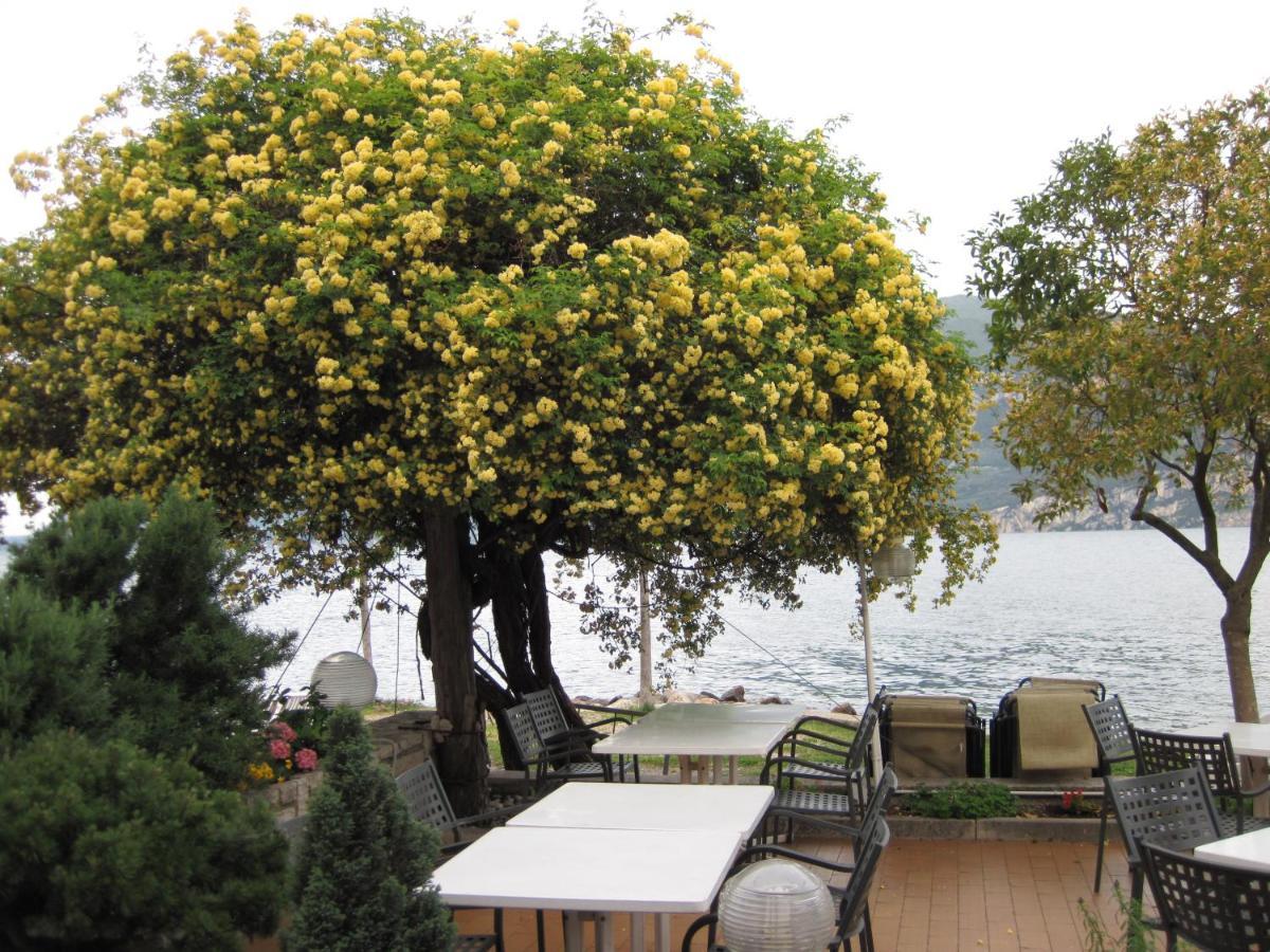 Piccolo Hotel Direkt Am See 브렌조네 술 가르다 외부 사진