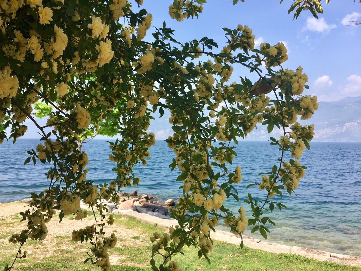 Piccolo Hotel Direkt Am See 브렌조네 술 가르다 외부 사진